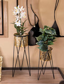 Porta Vasi Drak Coppia 21x20x46 cm - 18x18x32 cm in Ferro Nero e Oro      