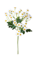 Set 6 Rami Artificiali Camomilla per 6 H 61 cm