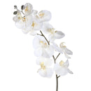Set 6 Fiori Phalenopsis innevata H120 cm Crema