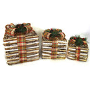 Set 3 Pacchi Regalo Decorativi con Led naturale 