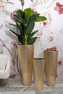 Porta Vasi Glotty Tris Ø48x110 cm - Ø40x93 cm - Ø33x77 cm in Ferro Oro      