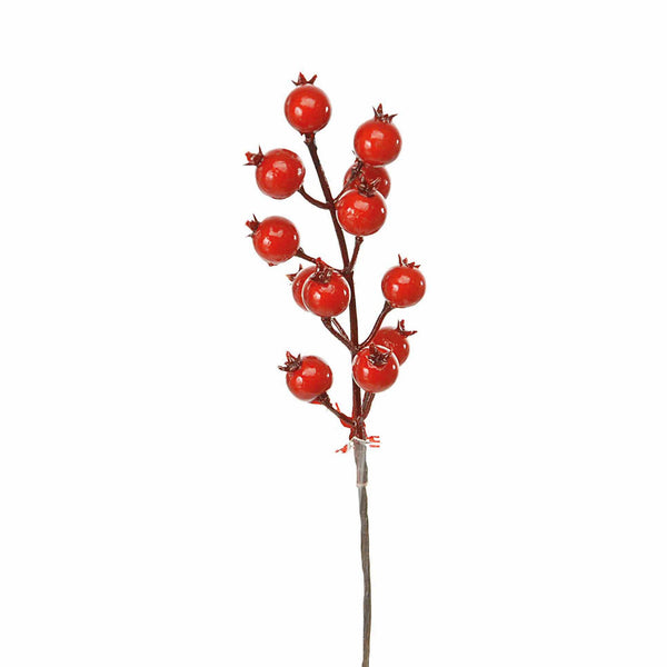 acquista Set 24 Pick Piricantha H22 cm Rosso