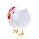 Set 6 Galline Decorative H 16 cm