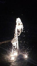 Pompa per Laghetto e Fontane con Gioco d’Acqua a Sorgente