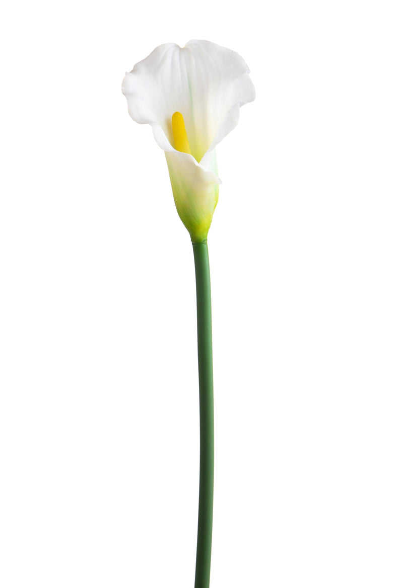 Set 8 Fiori Artificiali di Calla Singola Altezza 68 cm Bianco