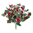 Set 2 Agrifoglio Cespuglio H33 cm 