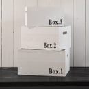 Set 3 Cassette Multiuso in Legno di Paulownia Ariel Bianco