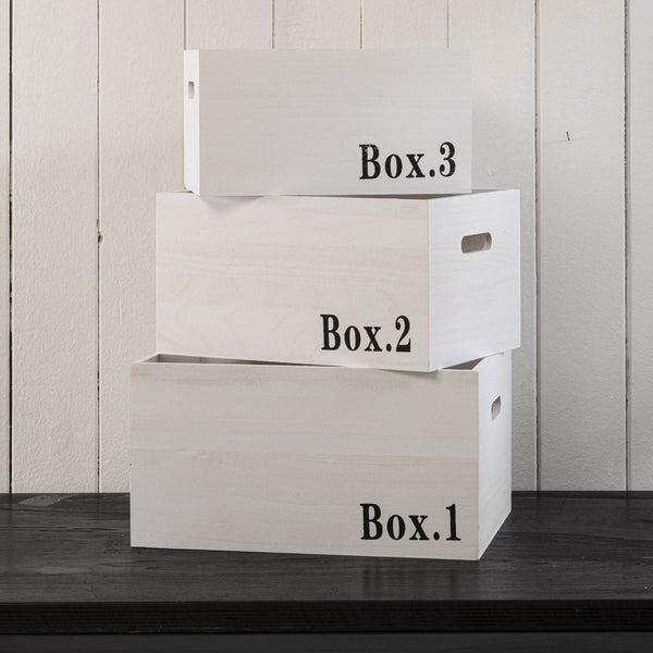 online Set 3 Cassette Multiuso in Legno di Paulownia Ariel Bianco