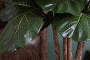 Ficus Lyrata Artificiale Altezza 180 cm Verde