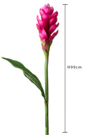 Set 2 Rami Artificiali Ginger 99 cm con Foglia