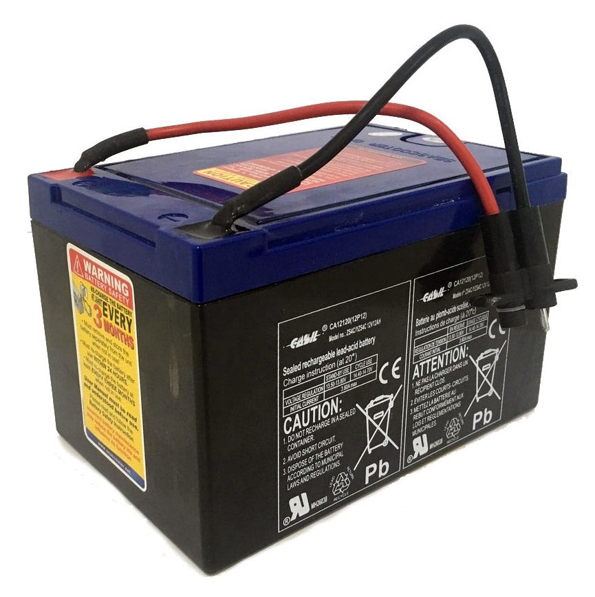 Batteria Ricaricabile 12V...