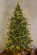 Albero di Natale Artificiale H230 cm Abete Gran Sasso 3094 Tips 550 Led Verde