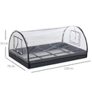 Mini Serra da Giardino Balcone 120x79x53 cm in PVC Trasparente