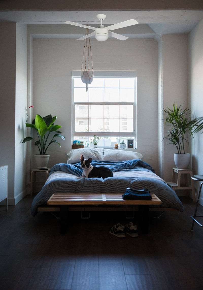 Ventilatore da Soffitto 4 Pale in Abs Ø120 cm 3 Velocità Martec Rocket Bianco