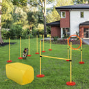 Set Addestramento Cani da Esterno con Ostacoli Slalom e Tunnel