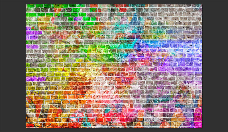 Fotomurale - Rainbow Wall Carta Da Parato Erroi