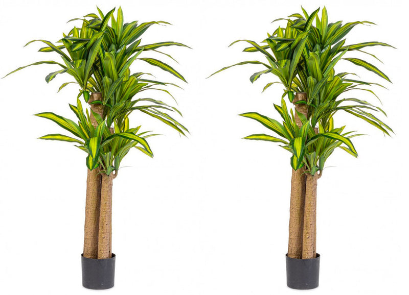 Set 2 Piante Artificiali Dracaena Ø110x150 cm in Plastica con Vasi Verde