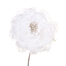 Set 12 Pick Peonia Ø11 cm Bianco