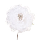 Set 12 Pick Peonia Ø11 cm Bianco