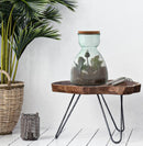 Vaso Garden Ø27x34 cm Vetro Trasparente