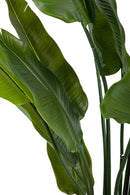 Pianta Artificiale Sterlizia con Vaso Composta da 20 Diramazioni Real Touch H 180 cm