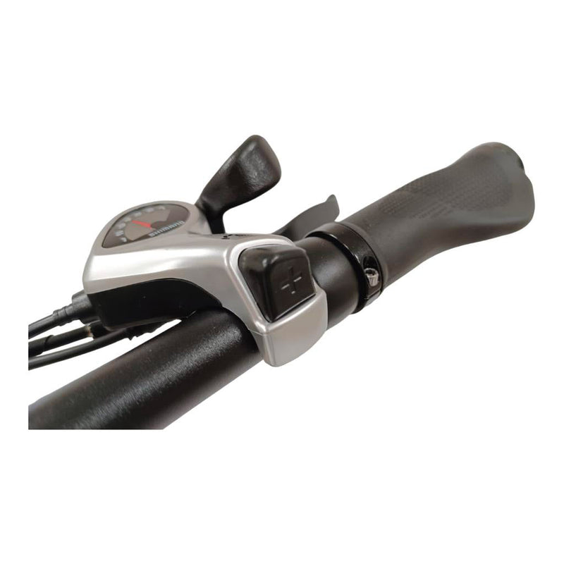 Fat-Bike Bicicletta Elettrica Pieghevole 36V a Pedalata Assistita 20"" 250W Nera