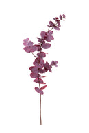 Set 4 Eucalipto Rami 75 cm 