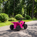 Quad Elettrico per Bambini 18-48 Mesi 6 V 2 km/h 67x38,5x43 cm con Marce Avanti Portata 25 kg in PP e Acciaio Fucsia      