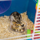 Gabbia per Criceti e Roditori 59x36x69 cm con Accessori Blu  