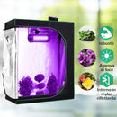 Serra Idroponica da Interno in Mylar con Prese d'Aria Regolabili 120x60x150 cm  