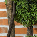 Pianta di Bosso Artificiale 115A cm a 3 Sfere con Vaso Incluso Verde   