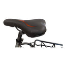 Fat-Bike Bicicletta Elettrica Pieghevole 36V a Pedalata Assistita 20"" 250W Grigio Antracite