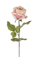 Set 4 Rose Artificiali con Dry Altezza 62 cm 