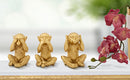 Set 3 Scimmie Non Vedo Non Sento Non Parlo 6,3x2x9,2 cm in Poliresina
