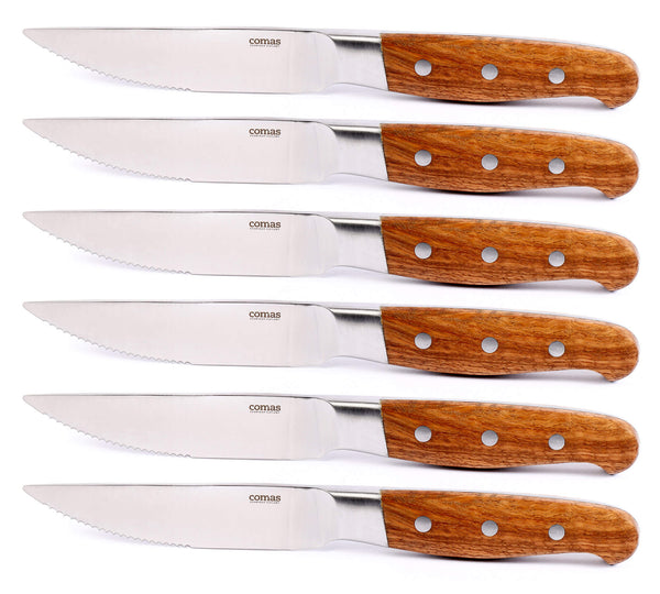 Set 6 Coltelli da Bistecca Lama Seghettata Manico in Legno Aconcagua prezzo