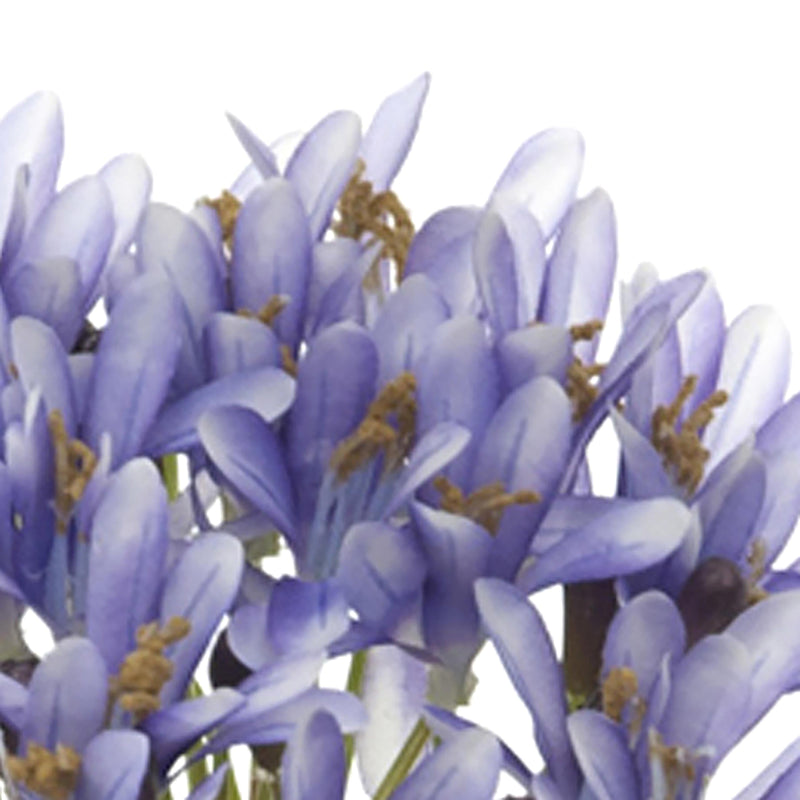 Set 4 Fiori Artificiali di Agapantus Altezza 73 cm 