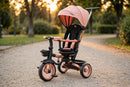 Passeggino Triciclo per Bambini 1-3 Anni Trico Luxury Gold 7 Modalità di Guida Rosa