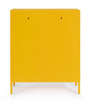 Mobile Basso 2 Ante 40x80x101,5 cm Cambridge in Acciaio Giallo