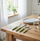 Servizio Set di Posate 24 pezzi in Acciaio Inox Eme Brio Verde 69