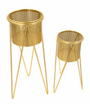 Porta Vasi Glat Coppia 21x20x46 cm - 18x18x32 cm in Ferro Oro      