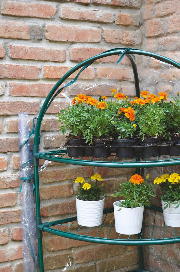 online Serra Angolare da Giardino in Metallo e PVC Bertozzi