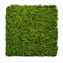 Set 2 pezzi Pannello Decorativo Fonoassorbente 60x60 Effetto Muschio Erba Sintetica Verde 