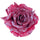 Set 24 Rosa con Clip.Ø15 cm Rosso