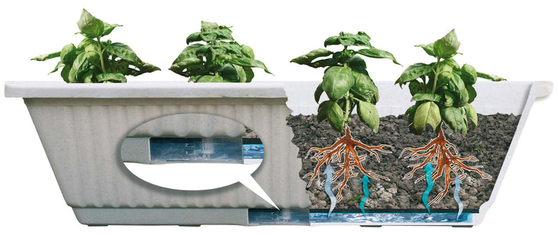 Vaso 67x37x20 cm in Plastica con Riserva dAcqua Rama Ortovaso Bianco