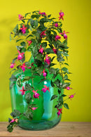 Set 2 Pianta Artificiale di Fuxia Pendente Altezza 80 cm Rosa