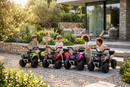 Quad Elettrico per Bambini Safari 6V con Bauletto Posteriore Blu