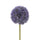 Set 6 Fiori Artificiali di Allium H 66 cm