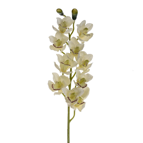prezzo Set 2 Cymbidium Artificiale Real Touch con 10 Fiori e 2 Bocci Altezza 92 cm Bianco