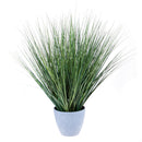 Pianta Artificiale di Beargrass in Vaso Altezza 78 cm Verde