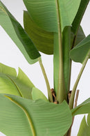 Set 2 Piante Artificiali di Banano 90x110x150 cm in Plastica con Vasi Verde
